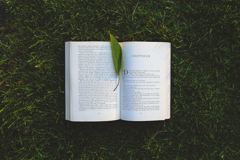 The Power of Creative Solitude